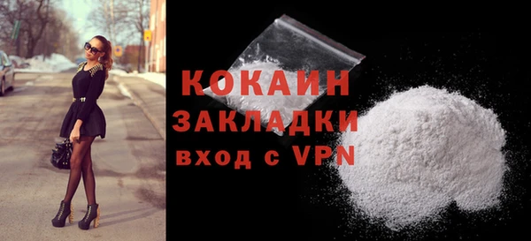 шишки Арсеньев