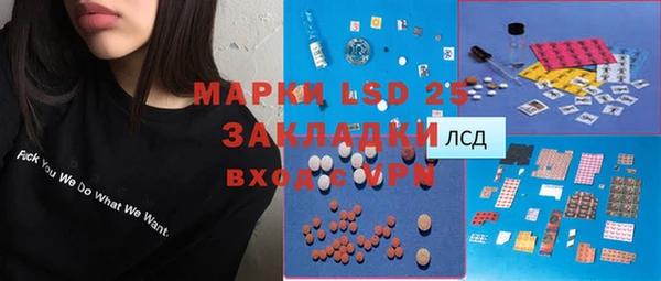 шишки Арсеньев