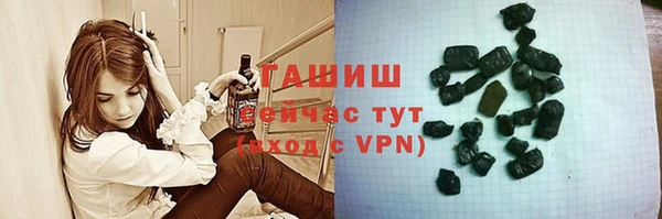 шишки Арсеньев