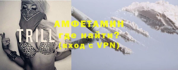 шишки Арсеньев