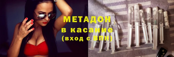 шишки Арсеньев