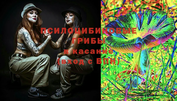 первитин Няндома
