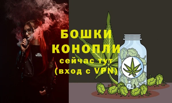 трава Армянск