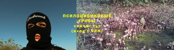 jwh Аркадак
